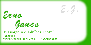 erno gancs business card